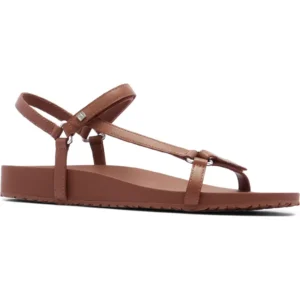 Brown  Flat Sandal